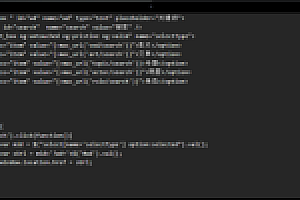 苹果cmsv10模板站内搜索实现下拉菜单选择搜索条件